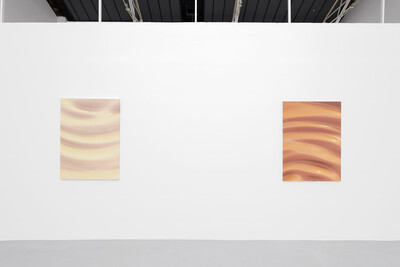 Mechanics of Skin, 2020. Exhibition view, Galerie Hussenot, Paris, France. - © Ben Elliot