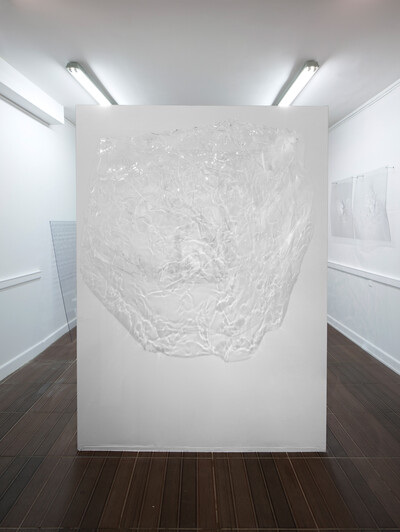 Resin4, 2016. Thermoformed polycarbonate, 90 x 125 x 35 cm. - © Ben Elliot
