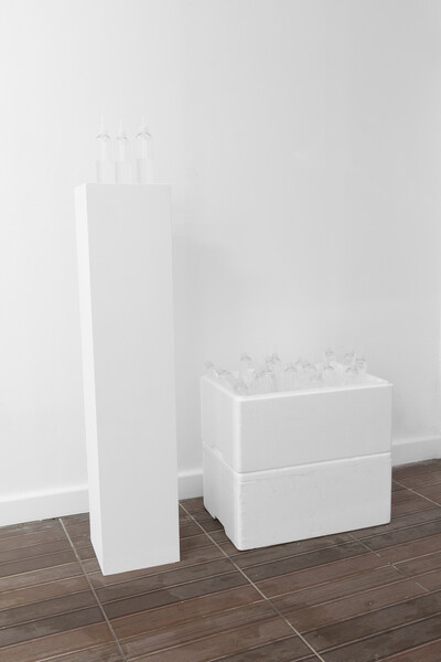 22.1.16. 300 bottles on ice cubes, to consume. Variable dimensions. - © Ben Elliot